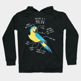 Blue and Gold Macaw Parrot Anatomy Hoodie